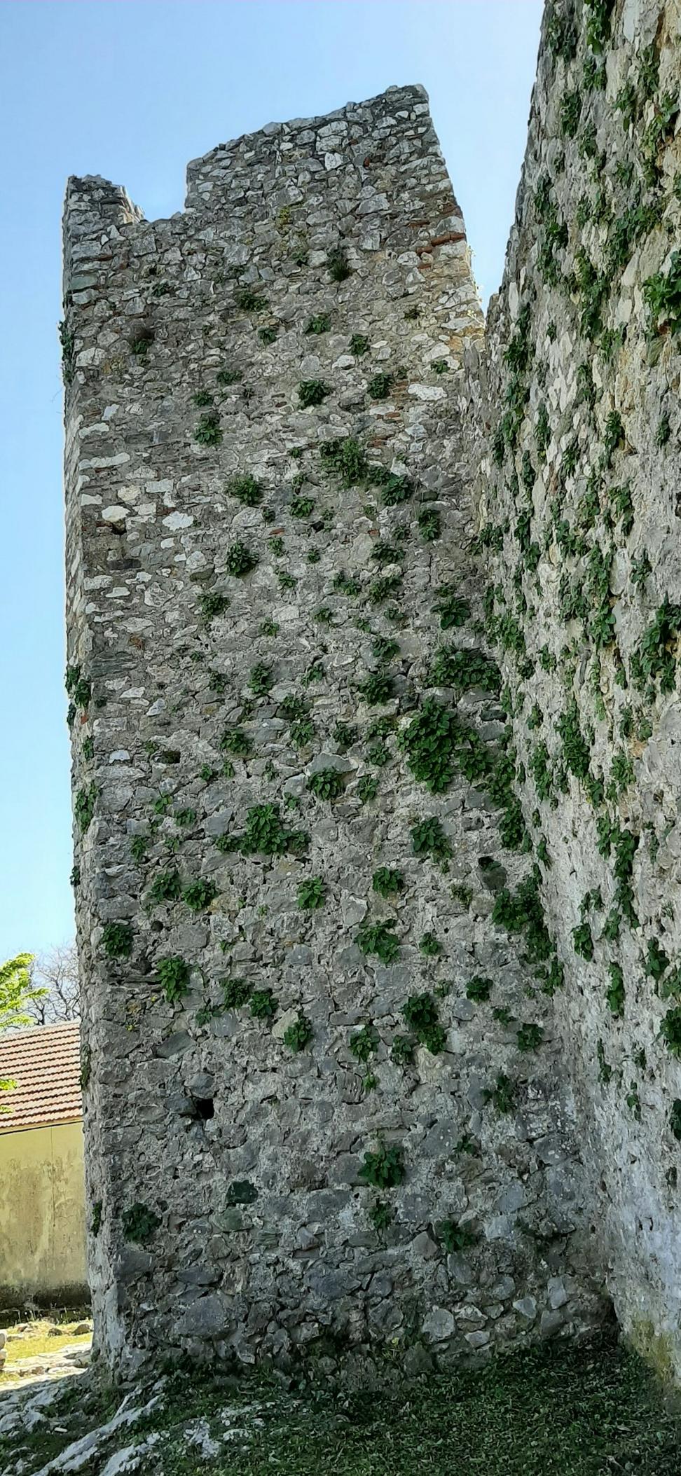 Hempcrete