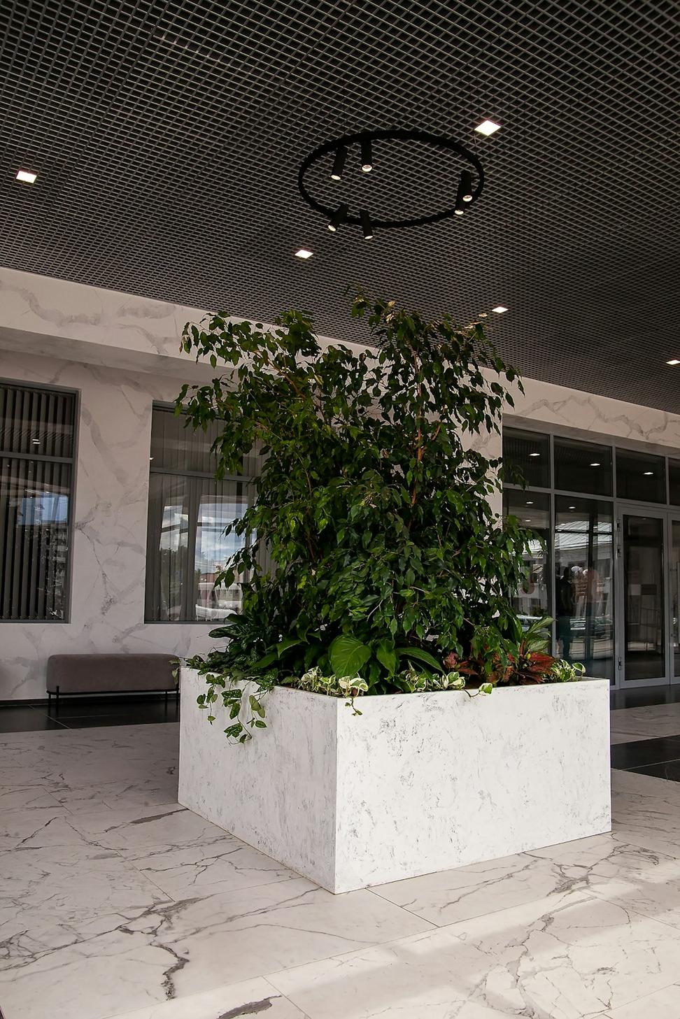 Cedar Corporate Campus