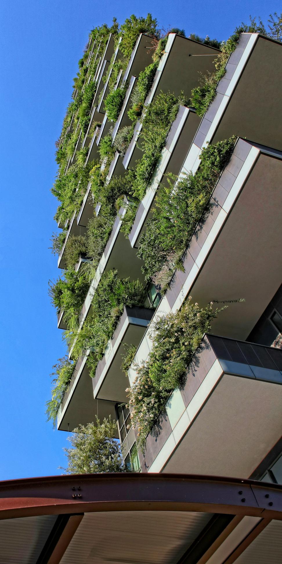 Featured Project